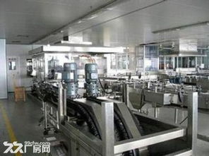 中央厨房基地10年租赁+10年赠送模式解析 食品产业的机遇与挑战