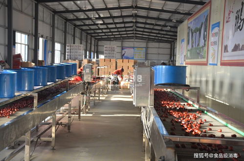 食品厂车间霉菌消毒 炒货食品及坚果制品霉菌超标的关键解决路径