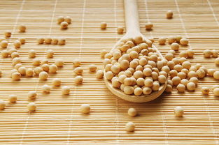 宜宾新闻网健康频道 食品安全，从餐桌到人心