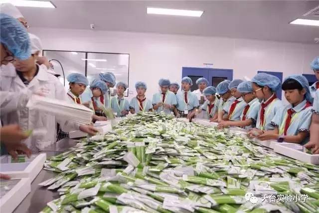 均衡营养 健康中国——记五（3）班家委会“食品一课”精彩活动