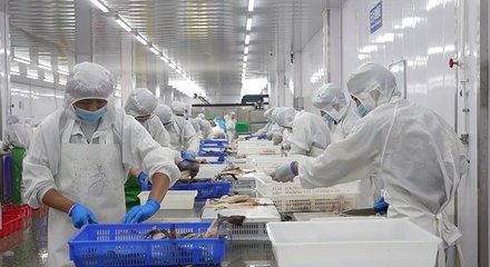 曹县 开足马力忙生产，食品产业焕发新活力