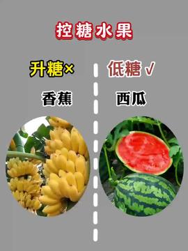 健康食品每日新鲜 品质生活的基石